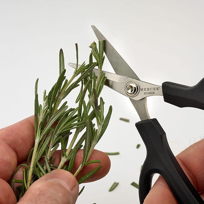 Mercer Culinary Herb Snips, 6 1/2-Inch