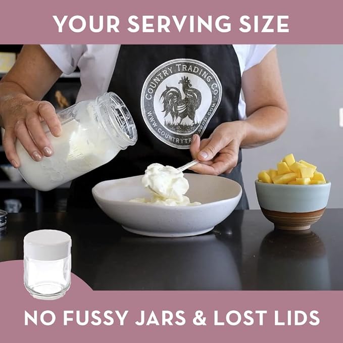 Stainless Steel Yogurt Maker with 1 Quart Glass Jar and Complete Recipe Book to Make 12+ Easy Homemade Dairy Free and Milk Yogurts