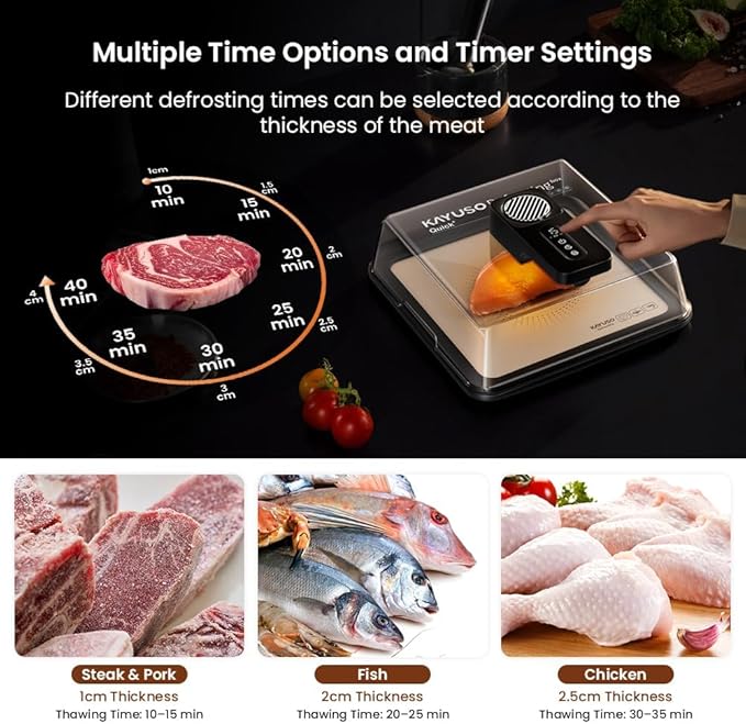Defrosting Tray for Frozen Meat, USB Rechargeable Meat Defrosting Box with Lid, Aluminum Defrosting Tray BBQ, Airflow Technology, Non Stick Easy to Clean (Black)