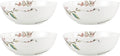 Lenox 897258 Chirp Soup Bowls, Set of 4