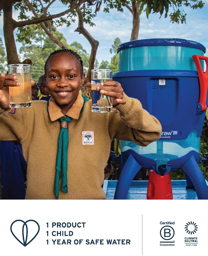 LifeStraw Go Series — Insulated Stainless Steel Water Filter Bottle for Travel and Everyday Use removes Bacteria, Parasites and Microplastics, Improves Taste, 1L, Nordic Noir'