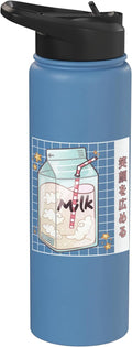 Japanese Kawaii Strawberry Milk Carton Vaporwave Grid Stainless Steel Insulated Water Bottle