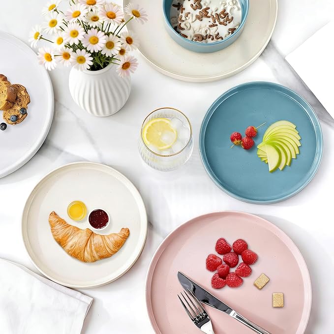 AmorArc Ceramic Dinnerware Set for 8 | Handpainted Stoneware Plates and Bowls with Rustic Terracotta Underside| Scratch Resistant,Dishwasher & Microwave Safe Dishes Sets- 24pcs Colorful