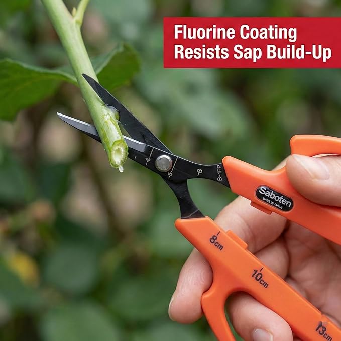 Saboten Fluorine Coated Straight Blade Trimming Scissors Orange PT-1 160mm Precision Gardening Bonsai and Floral Shears Made in Japan