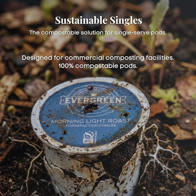 Evergreen Compostable Single Serve Coffee Pods - Light Roast Morning Blend - 100% Arabica Beans (72 Count)