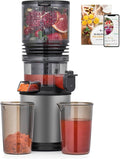 Cold Press Juicer Machine with 6" Extra-Wide Feed Chute,Triple Stainless Steel Filter,Quiet DC Motor,Easy to Clean,Slow Masticating Juicer High Juice Yield,Grey