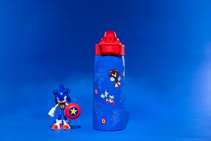 Zak Designs Sonic the Hedgehog Sage Kids Water Bottle For School or Travel, 19oz Stainless Steel Water Bottle With Straw, Handle, and Leak-Proof, Pop-Up Spout Cover (Sonic & Shadow)