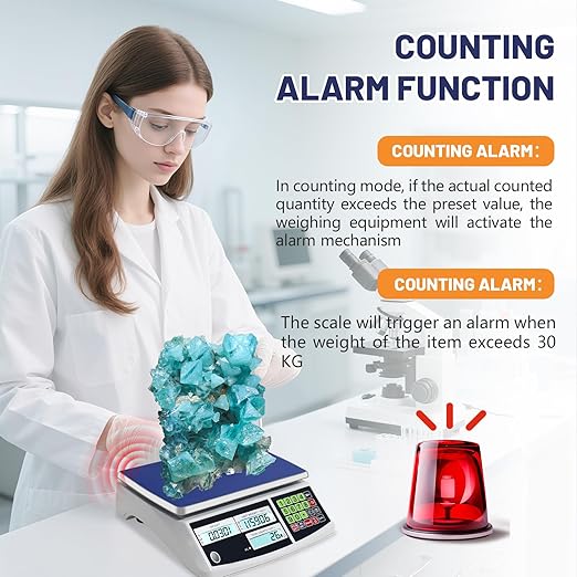 Industrial Counting Scale (30kg/66lb, 0.1g), g/kg/lb, Coin Scale, Precision Electronic Gram Scale for Parts and Coins,Digital Inventory Scale with Alarm Mode