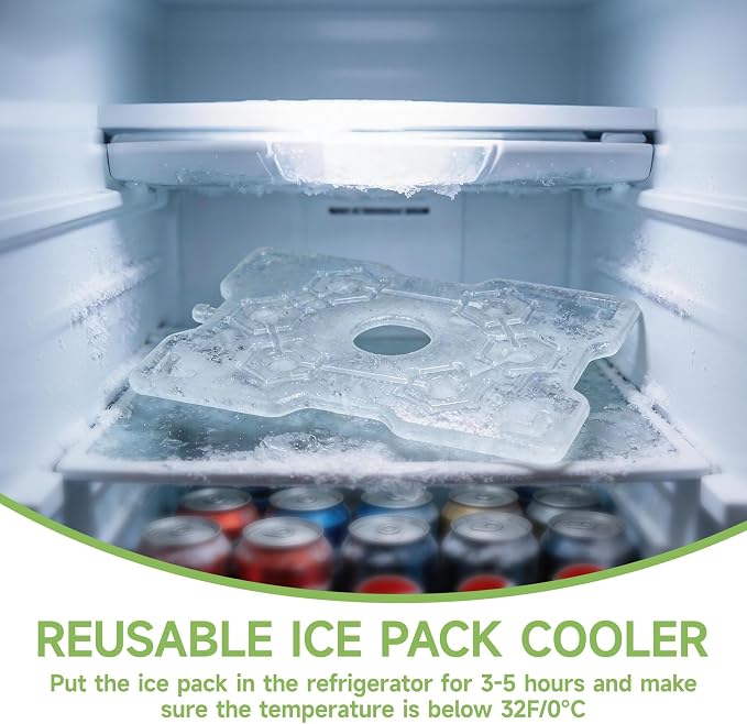Chilled Portable Snackle Box container, Divided Serving Tray, Beach Essentials Insulated Container with Reusable Ice Pack & Bag – Keep Food Hot or Cold On the Go for Adult