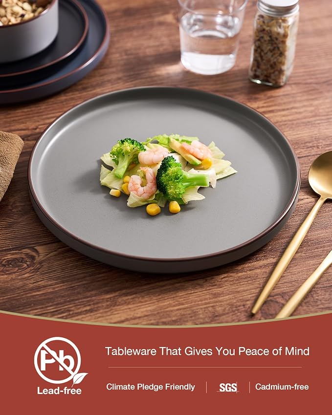 Famiware Nebula Ridge Stoneware Dinnerware Sets for 8, 24 Pieces Plates and Bowls Sets, Dishes Set, Microwave and Dishwasher Safe Kitchen Plates, Multi-color