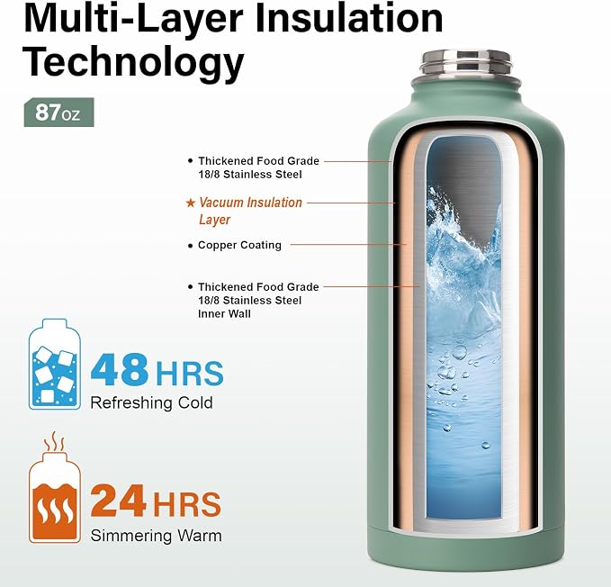DYSANKY Insulated Water Bottle | Thickened Stainless Steel for Gym and Hiking with Straw, Carrier Bag, Handle Strap | BPA-Free 87 oz