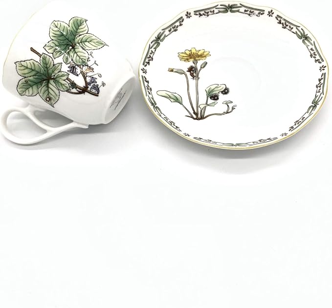 Noritake TT97889/4924-8 Noritake Cup & Saucer (For Both Coffee/Tea), 12.5 fl oz (375 cc), Microwavable, Bone China
