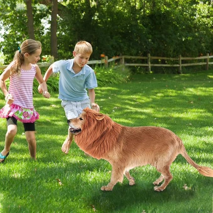 RWM Basting Brush & Dog Lion Mane Constume-Love BBQ, Love Dog
