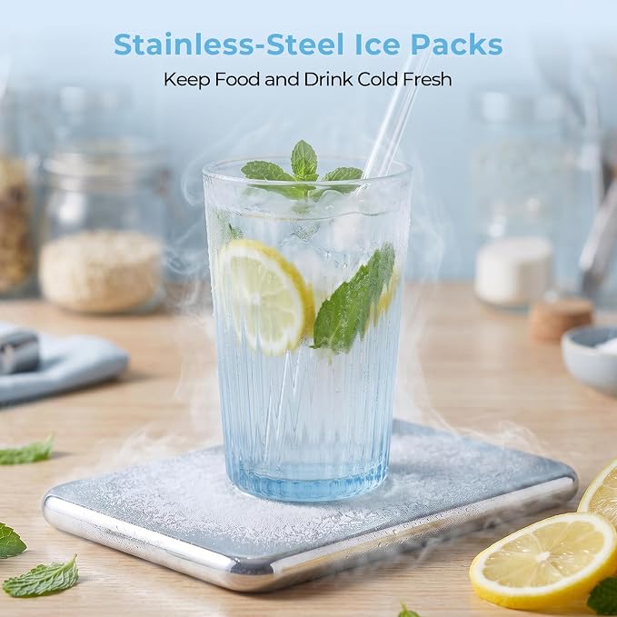 Homelove Snackle Box Container, Snack Organizer Divided Serving Tray with 2 Stainless-Steel Ice Packs, Lid with Handle, Double-layer Tray and 5-Compartment Snack Platter for Travel Party Beach Picnic