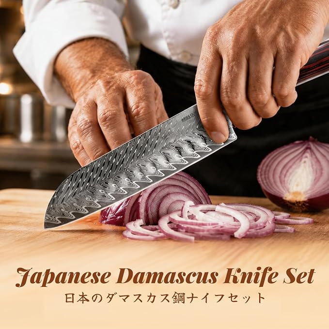 6 Piece Japanese Damascus Knife Set, Professional Chef Knife Set with VG10 Steel Core, Ultra Sharp 67-Layer Kitchen Knives, Pakkawood Handle Gift Box