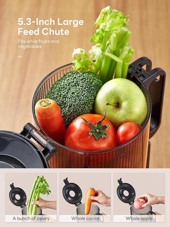 Reemix Juicer Machine with Large Feed Chute, Slow Masticating juicer with Dual Safety Locks - Easy to Clean, Detachable Parts, Fruit & Veggie Juicer for Home