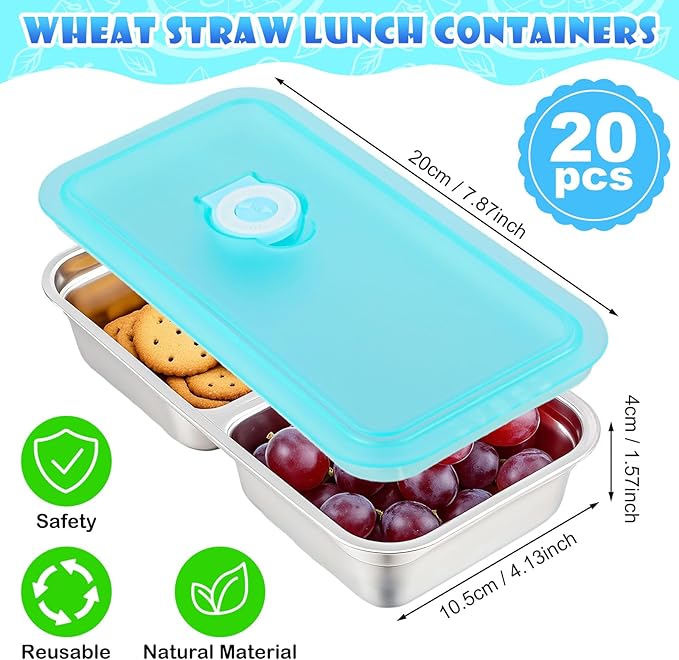 Teenyyou 20 Pcs Stainless Steel Snack Containers 30 oz 2-compartment Meal Prep Containers Reusable Metal Divided Bento Box with Silicone Lids Leakproof Lunch Box Dishwasher Safe (Blue)