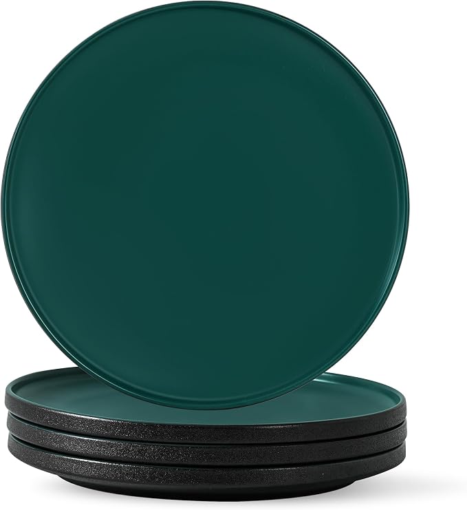 10.25 Inch Dinner Plates Set of 4, Matte Glaze Stoneware Plate for Steak & Pasta, Microwave and Dishwasher Safe, Ceramic Plates for Everyday Dining, Matte Green