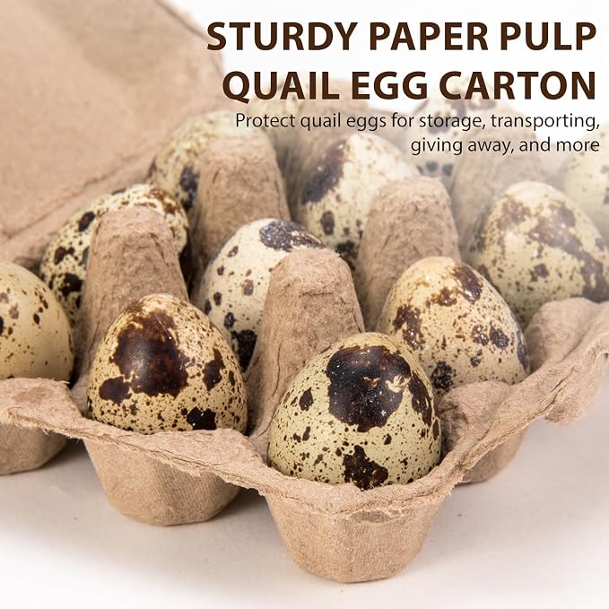 50 Pack Quail Egg Cartons, 3x4 Style Paper Pulp Quail Egg Trays, Sturdy & Reusable Quail Egg Holder 12 Count Dozen Quail Egg Storage Tray for Farmers, Home Use & Transport