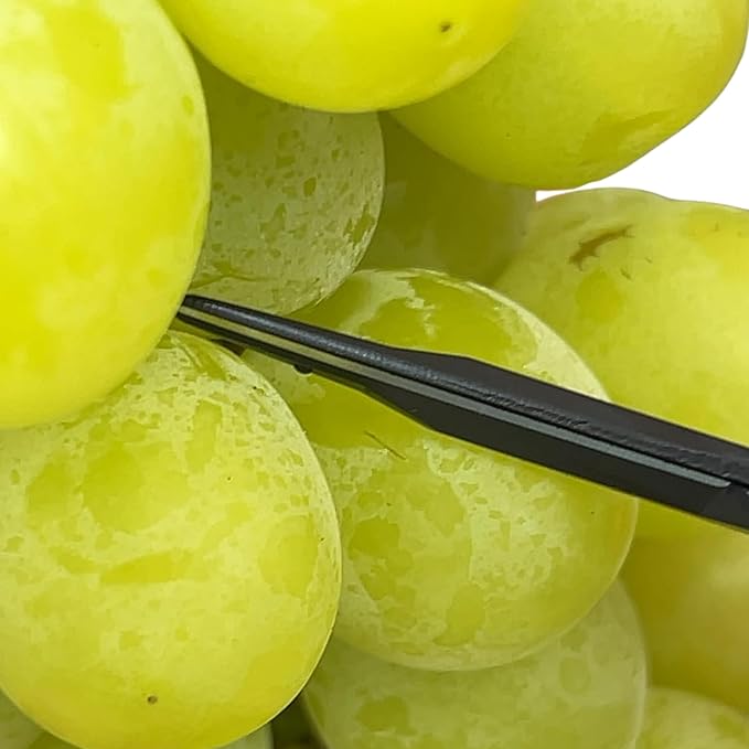 CHIKAMASA B-600SUFB, The Precise Specialty Trimming Scissors, Stainless Steel w/Fluorine Coating, for trimming plants and grapes, excellent for narrow stem-thinning inside closed and tangled spaces.