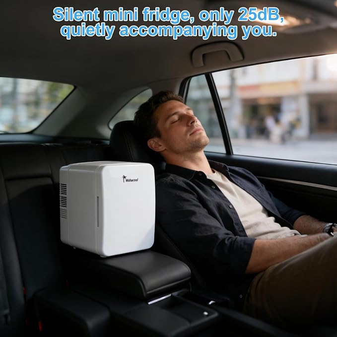 Mini Fridge, 6L/8 Can Portable Personal Refrigerator - Cooler and Warmer, Ideal for Car Use and for Skin Care, Cosmetics, Beverage, Food,Great for Bedroom, Office, Dorm