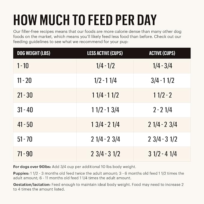 The Honest Kitchen Whole Food Clusters Grain Free Turkey Dry Dog Food, 1 lb Trial Pouch (Pack of 2)