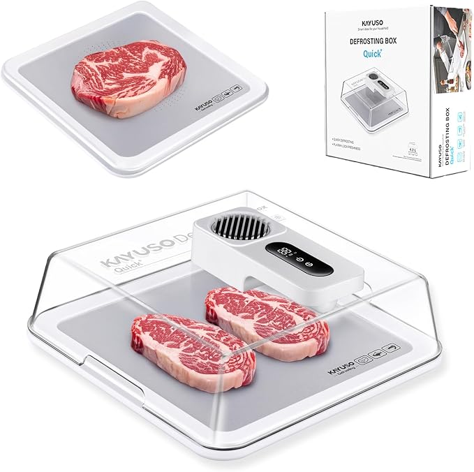 Defrosting Tray for Frozen Meat, USB Rechargeable Meat Defrosting Box with Lid, Aluminum Timable Defrosting Tray BBQ, Airflow Technology, Non Stick Easy to Clean (White)