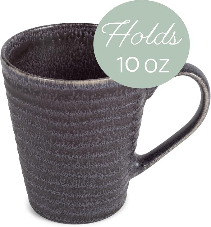 Elanze Designs Sophisticated Modern Chic Ribbed Ceramic Stoneware Dinnerware Mugs Cups Set of 4 - Charcoal Grey