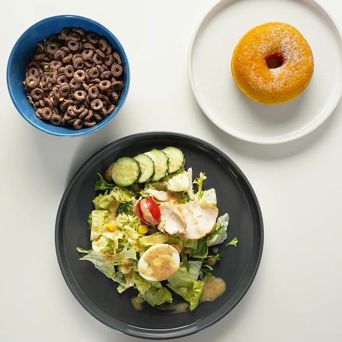 Metflavor Kitchen Plates and Bowls Set Dinner Set for 4 Handpainted Dinner ware Sets, Microwave Safe Plates and Bowls Sets Stone Plate Scratch Resistant (Galaxy Mist)