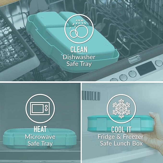 4-Compartment Bento Box with Leakproof Seal, Reusable Meal Prep Lunch Container for Adults Kids