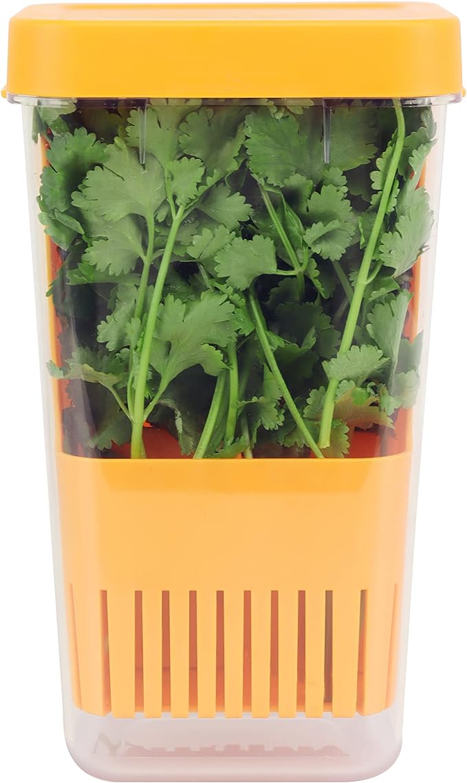 LUVCOSY Fresh Herb Keeper for Refrigerator, Clear BPA-Free Herb Saver, Storage Container for Cilantro, Parsley, Thyme, Mint & Asparagus, Preserver Keeps Fresh Herbs for 3 Times Longer, Orange