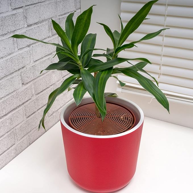 6 Pcs Plant Grid Soil Protector Covers 11.8 Inch 20.8 Inch Cuttable Flower Cover with 60 Stakes Plastic Pot Grid for Indoor Outdoor