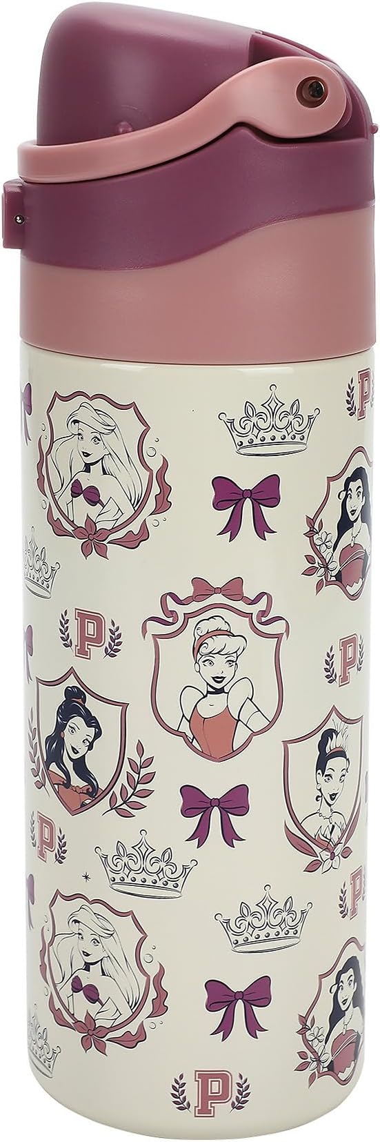 Disney Princess All-Over Character Print 24 Oz Stainless Steel Water Bottle