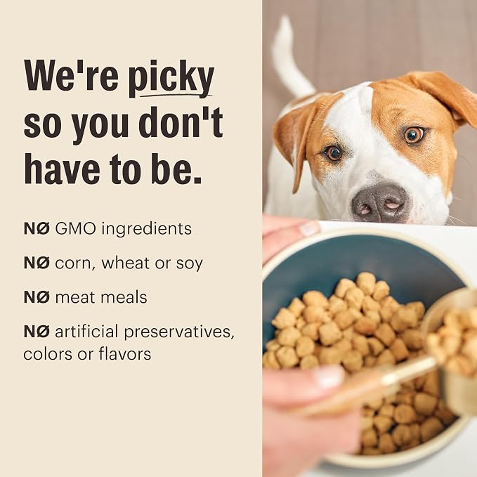 The Honest Kitchen Human Grade Whole Food Clusters Dry Dog Food - Grain Free Chicken 20 lb Bag