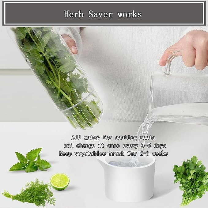 Herb Saver for Refrigerator, Cilantro Container for Fridge, Fresh Herbs Lettuce Keeper for Refrigerator Parsley Mint Leaves Fresh Herb Keeper, Refrigerato Storage for Fresh for 2-3 Weeks