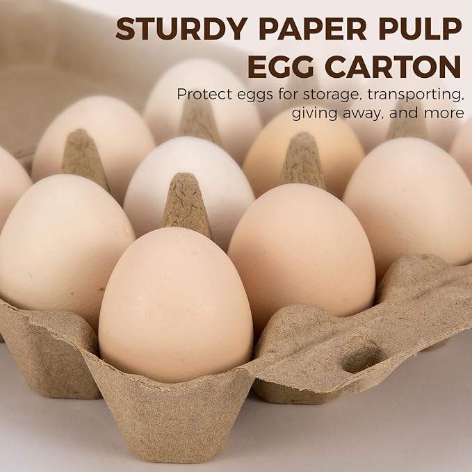 100 Pack Egg Cartons, 3x4 Style Paper Pulp Egg Trays, Sturdy & Reusable Egg Holder 12 Count Dozen Chicken Egg Storage Tray for Farmers, Home Use & Transport