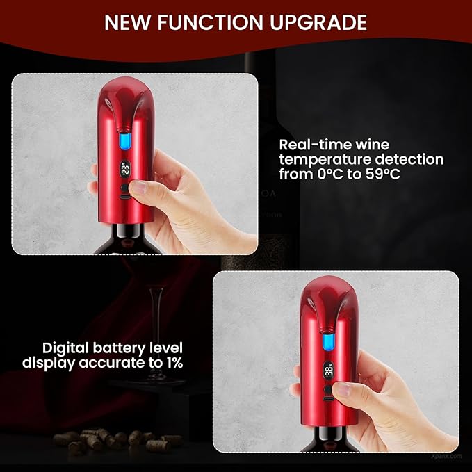 BLUBYEES 3-in-1 Electric Wine Aerator, Decanter & Dispenser Set – USB Rechargeable Automatic Wine Pourer, Ideal Gift for Wine Lovers