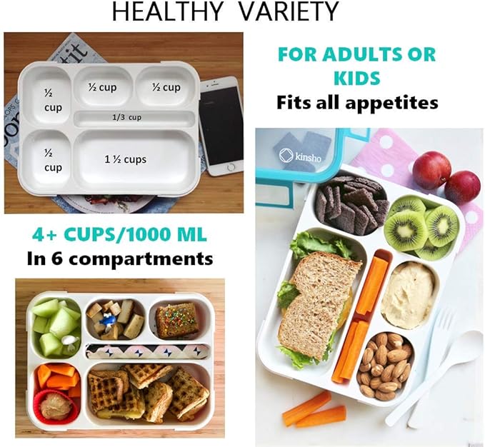 Bundle of 2 Bento Lunch Box Kids & Adult (Blue & Pink) + 2 Small Bento Lunch Box for Girls Boys (Blue & Pink)