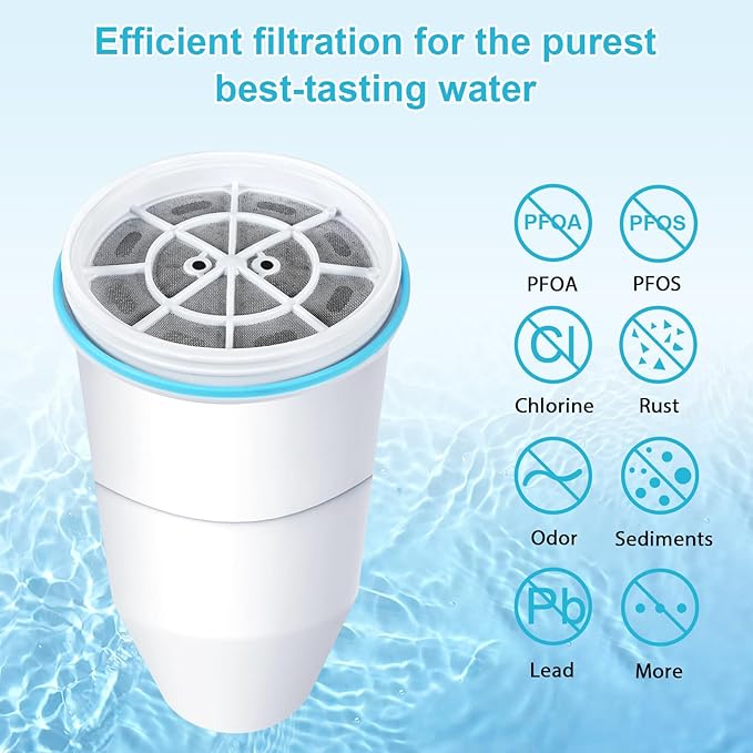 VIPHASES Upgraded 6-Stage 0 TDS Water Filter Replacement for ZR-001, ZR-017, ZR-004, Removes 99.99% Lead, Chlorine, Fluoride, PFOA/PFOS, 2-Pack