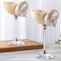 Conch Shell Wine Glasses Wedding Wine Cup Martini Goblet Cocktail Drinkware Drinking Stemware for Valentine Birthday Wedding Bridesmaids Anniversary Party (White Conch,Sliver Base,2 Pcs)