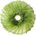 100pcs Fruit Protection Mesh Bags Strawberry Mesh Bag Vegetable Netting Cover Gardening Tool(10x15cm)