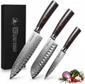 VG10 HPS 3 Piece Japanese Chef Knife Set, Damascus Kitchen Knives with VG10 Steel Core, Essential Chef Knives Set with Pakka Wood Handle for Daily Cooking