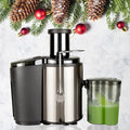 800W Electric Juicer Centrifugal Juicer Machine Fruit Vegetable Juicer 800ml Large Capacity Stainless Steel Blade Easy Clean Black for Home Kitchen