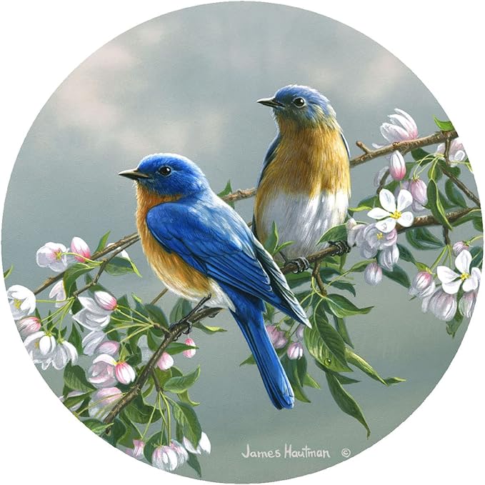 Andreas Silicone Spring Bluebirds 8" Non-Slip Trivet/Pot Holder/Hot Pad – 100% Cotton Fabric Layer Encapsulated in Silicone – Heat Resistant to 600°F – Flexible & Dishwasher Safe – USA Made, TR-HB1131