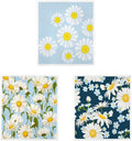 Reusable Kitchen Cleaning Cloth, Cellulose and Cotton Towel(2-3 3pcs)