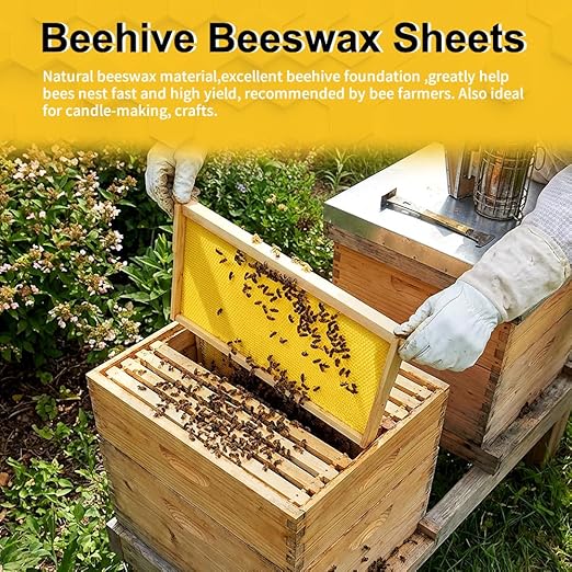 Beeswax Sheets, Bee Hive Foundation Sheets, Beehive Wax Foundation Sheets, Beeswax Honeycomb Sheets for Beekeeping Candle Making (60pcs)