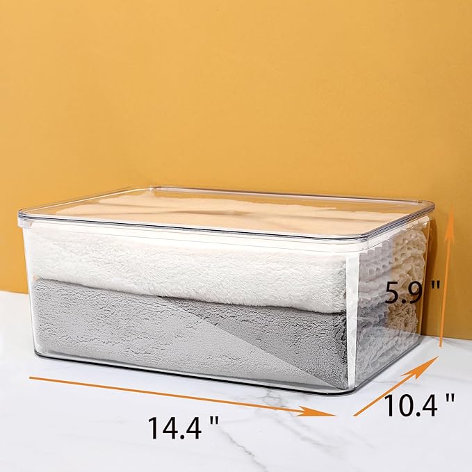 2 Large Lidded Plastic container, Clear Stackable Storage Boxes for Cabinets, Organization and Storage for Shelves Office Bathroom Kitchen (2Large)