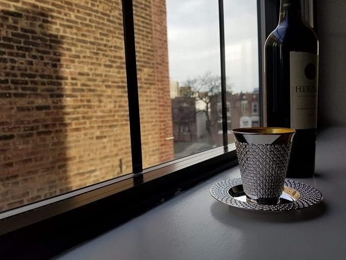 Exquisite 5.5 oz Disposable Plastic Kiddush Cup and Tatz Silver Cup and Saucer Set for Passover, Shabbat, Wedding, Brit and Year Round -10 Count - 5 Sets (Pack of 2)