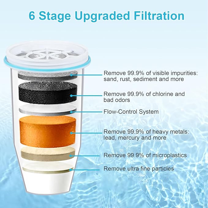 VIPHASES Upgraded 6-Stage 0 TDS Water Filter Replacement for ZR-001, ZR-017, ZR-004, Removes 99.99% Lead, Chlorine, Fluoride, PFOA/PFOS, 2-Pack