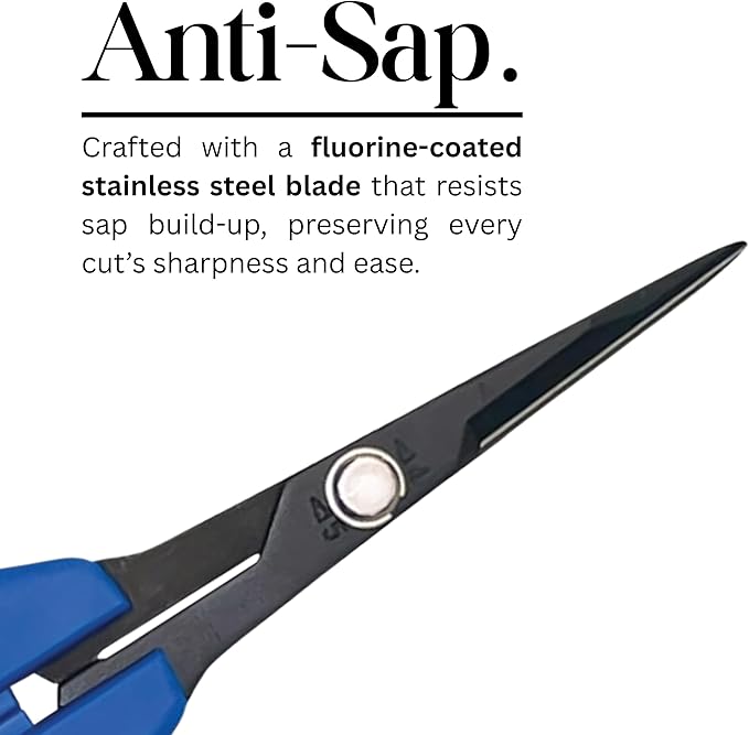 CHIKAMASA B-600SUFB, The Precise Specialty Trimming Scissors, Stainless Steel w/Fluorine Coating, for trimming plants and grapes, excellent for narrow stem-thinning inside closed and tangled spaces.